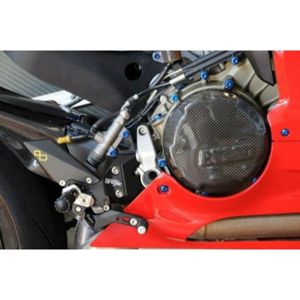Couvre carter alternateur Lightech carbone Ducati Panigale 1199 (12-17)