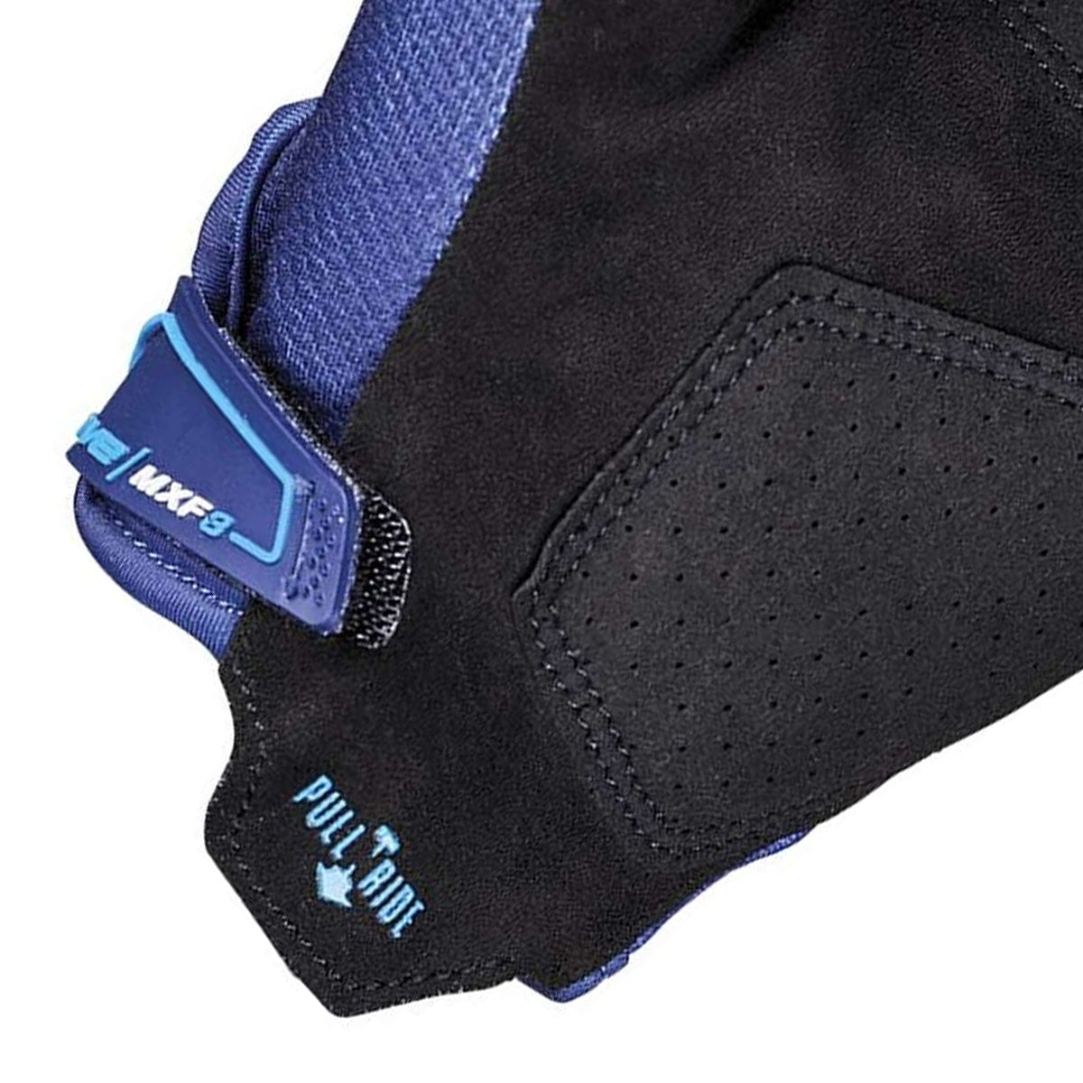 Mxf3 Evo Blue