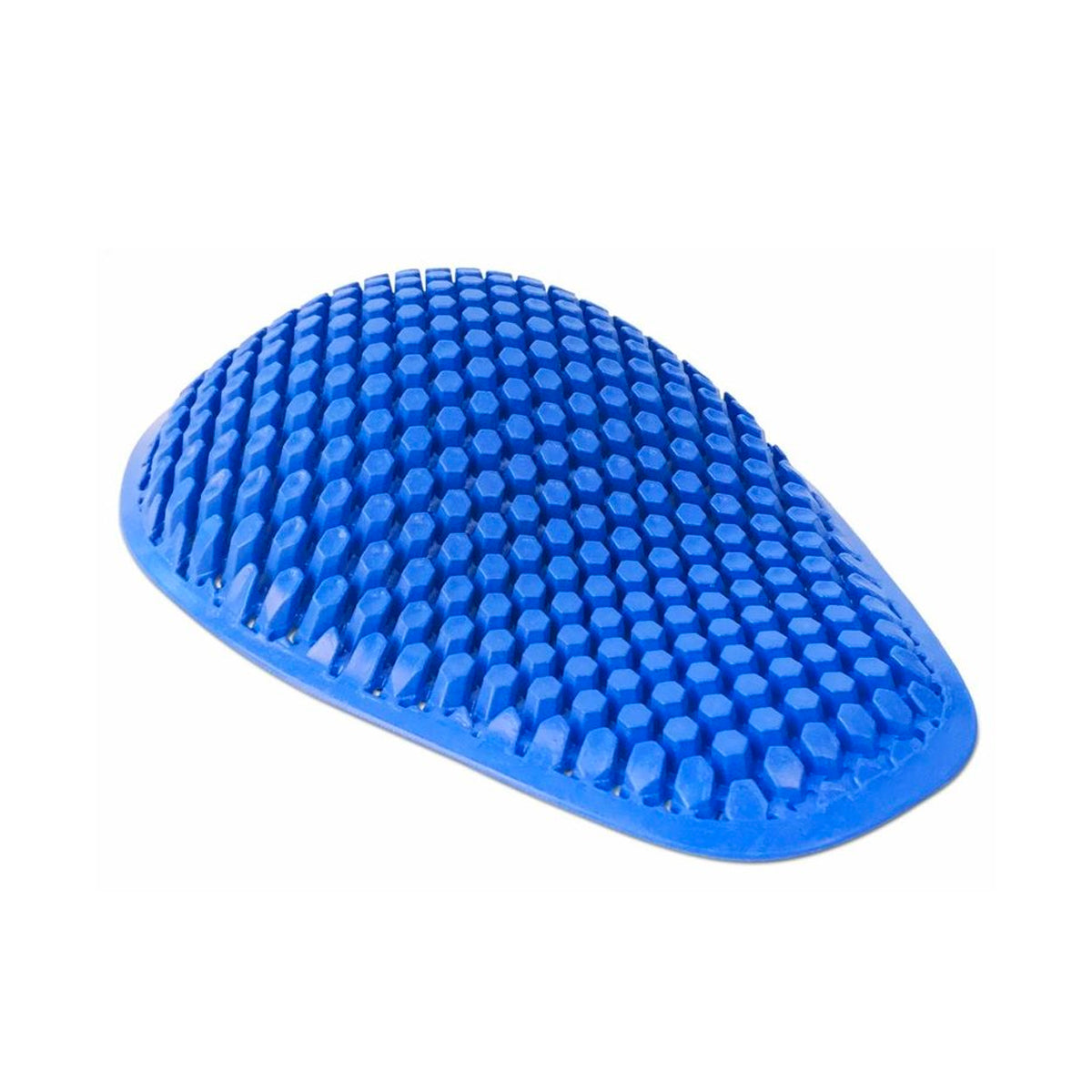 SEESMART RV31 L1 B Bleu
