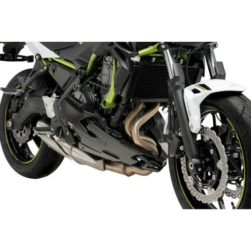 Sabot moteur Carbone Kawasaki Z650 (20)