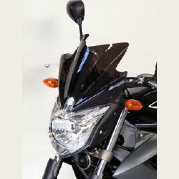 Saute vent Yamaha XJ6 (09-16)